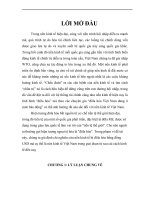 LÝ LUẬN CHUNG VỀ HIỆN TƯỢNG ĐÔ LA HÓA