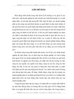 THực trạng và giải pháp nhằm đẩy mạnh hoạt động kinh doanh thiết bị an ninh ở công ty cổ phần đầu tư và phát triển thiết bị an ninh đại phong