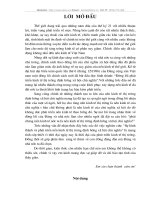 Sự hình thành và phát triển nền kinh tế thị trường định hướng