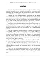 Một số giải pháp nâng cao khả năng cạnh tranh trong tiêu thụ sản phẩm của công ty Khóa Minh  Khai