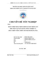 HOÀN THIỆN HOẠT ĐỘNG ĐỊNH GIÁ BẤT ĐỘNG SẢN THẾ CHẤP TẠI NGÂN HÀNG NÔNG NGHIỆP VÀ  PHÁT TRIỂN NÔNG THÔN CHI NHÁNH HOÀNG MAI