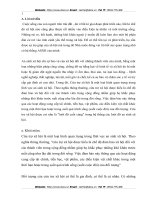 Cứu trợ xã hội