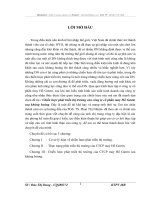 Chiến lược phát triển thị trường của công ty cổ phần may Hồ Gươm sau khủng hoảng