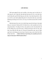 Thiết kế chiến lược truyền thông cho sản phẩm đọc báo trên mạng của báo phụ nữ TPHCM (phunuonline)