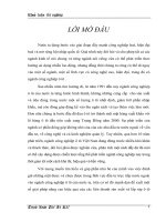 Đầu tư trực tiếp nước ngoài trong ngành công nghiệp ô tô