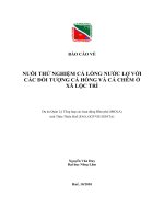 NUÔI THỬNGHIỆM CÁ LỒNG NƯỚC LỢ VỚI  CÁC ĐỐI TƯỢNG CÁ HỒNG VÀ CÁ CHẼM Ở XÃ LỘC TRÌ