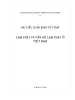 LẠM PHÁT VÀ VẤN ĐỀ LẠM PHÁT Ở VIỆT NAM