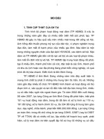 hoạt động nghiệp vụ trinh sát trong điều tra tội phạm hoạt động mại dâm trên địa bàn tỉnh Bình Dương