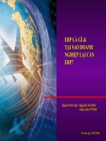 ERP LÀ GÌ &  TẠI SAO DOANH NGHIỆP LẠI CẦN ERP?