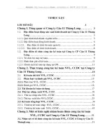 Nghiên cứu hoạt động sản xuất kinh doanh tại Công ty Cầu 11 Thăng Long