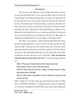 Thực thi pháp luật chống bán phá giá tại thị trường Việt Nam