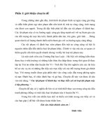 Các tội phạm về đánh bạc và thực tiễn xét xử loại tội phạm này ở địa phương