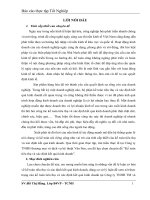 Bao cao thuc tap Tran Hang 1