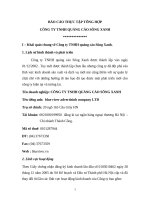 BÁO CÁO THỰC TẬP TỔNG HỢP CÔNG TY TNHH QUẢNG CÁO SÔNG XANH