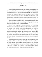 Một số biện pháp nhằm phát triển thị trường tiêu thụ của công ty Thuận Phát