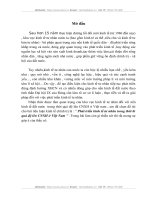 phát triển kinh tế tư nhân trong thời kỳ quá độ lên CNXH ở Việt Nam