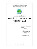 xử lý dầu tràn bằng vi sinh vất