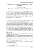 ứng dụng kỹ thuật sấy phun trong sản xuất bột chanh dây