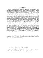 Phân tích sự biến động và xây dựng mọt danh mục đầu tư cho các cổ phiếu của cùng một nghành