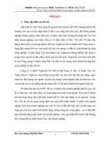 Tăng cường huy động vốn tại công ty cổ phần Viglacera Hà Nội