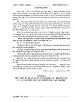 593 Hoàn thiện tổ chức và hoạt động Marketing nhằm đẩy mạnh hoạt động tiêu thụ sản phẩm tại Công ty Cổ phần An Việt