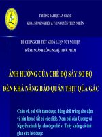 ẢNH HƯỞNG CỦA CHẾ ĐỘ SẤY SƠ BỘ