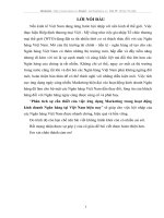 Phân tích sự cần thiết của việc ứng dụng Marketing trong hoạt động kinh doanh Ngân hàng tại Việt Nam hiện nay