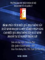 Phân tích hiệu quả hoạt động sản xuất kinh doanh và một số biện pháp nâng cao hiệu quả hoạt động sản xuất kinh doanh tại xí nghiệp Thắng Lợi