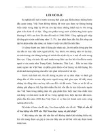 Một số vấn đề về huy động vốn FDI vào Việt Nam thực trạng và giải pháp