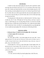 1.Khái quát chung về cổ phần hóa doanh nghiệp 100% vốn nhà nước