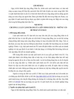 LUẬT CẠNH TRANH CỦA LIÊN MINH CHÂU ÂU  – NHỮNG VẤN  ĐỀ PHÁP LÝ CƠ BẢN