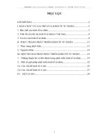 Bản chất và vai trò kinh tế tư nhân