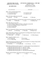 Trac nghiem Tieu hoc