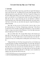 Cải cách Giáo dục Bậc cao ở Việt Nam