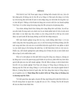 Hoạt động đầu tư phát triển tại Tổng công ty khoáng sản và thương mại Hà Tĩnh