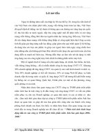 Phân tích tình hình hoạt động đầu tư của công ty TNHH phát triển phần mềm Ánh Sao giai đoạn 2006-2008