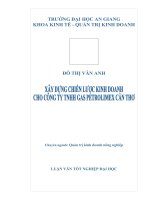 Xây dựng chiến lược kinh doanh cho công ty TNHH Gas petrolimex Cần THơ