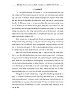 Kế toán bán hàng và xác định kết quả kinh doanh tại Công ty cổ phần Đồng nghiệp