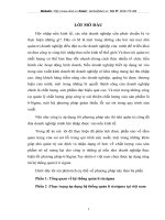 Thực trạng áp dụng hệ thống quản lí sixsigma tại việt nam