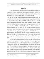 Một số giải pháp phát triển DNN&V trên địa bàn tỉnh Phú Thọ giai đoạn 2009 – 2015