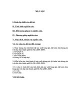 Thực trạng của tình hình tội sản xuất hàng giả, tội buôn bán hàng giả trên địa bàn thành phố Hà Nội (2003-2009).