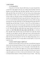 vấn đề đồn điền, hiểu được chính sách đồn điền