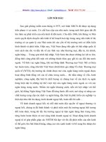 Một số giải pháp nhằm  nâng cao hiệu quả hoạt động kinh doanh ngoại tệ tại NHNo&PTNT Hà Nội