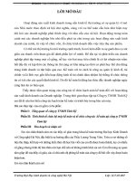 Tình hình tổ chức bộ máy kế toán và tổ chức công tác  kế toán tại công ty TNHH Tinh Kỹ