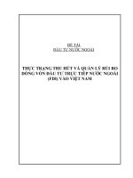 THỰC TRẠNG THU HÚT VÀ QUẢN LÝ RỦI RO DÒNG VỐN ĐẦU TƯ TRỰC TIẾP NƯỚC NGOÀI (FDI) VÀO VIỆT NAM