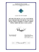 RỦI RO TÍN DỤNG VÀ CÁC GIẢI PHÁP HẠN CHẾRỦI RO TÍN DỤNG TẠI NGÂN HÀNG NÔNG NGHIỆP VÀ PHÁT TRIỂN NÔNG THÔN HUYỆN CÀNG LONG