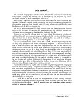 Kinh tế nông hộ trong quá trình công nghiệp hóa-hiện đại hóa ở nông thôn hiện nay