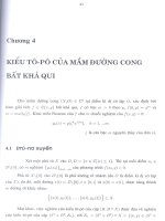 Kiểu tô-pô của mầm đường cong giải tích bất khả qui tại điểm kì dị cô lập 7