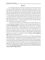 120 Xây dựng kế hoạch Marketing cho dịch vụ Tư vấn và thu hồi bảo hiểm của Công ty Cổ phần Sao Khuê Việt Nam