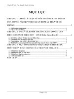 MÔI TRƯỜNG KINH DOANH CỦA DOANH NGHIỆP THEO QUAN ĐIỂM LÝ THUYẾT HỆ THỐNG